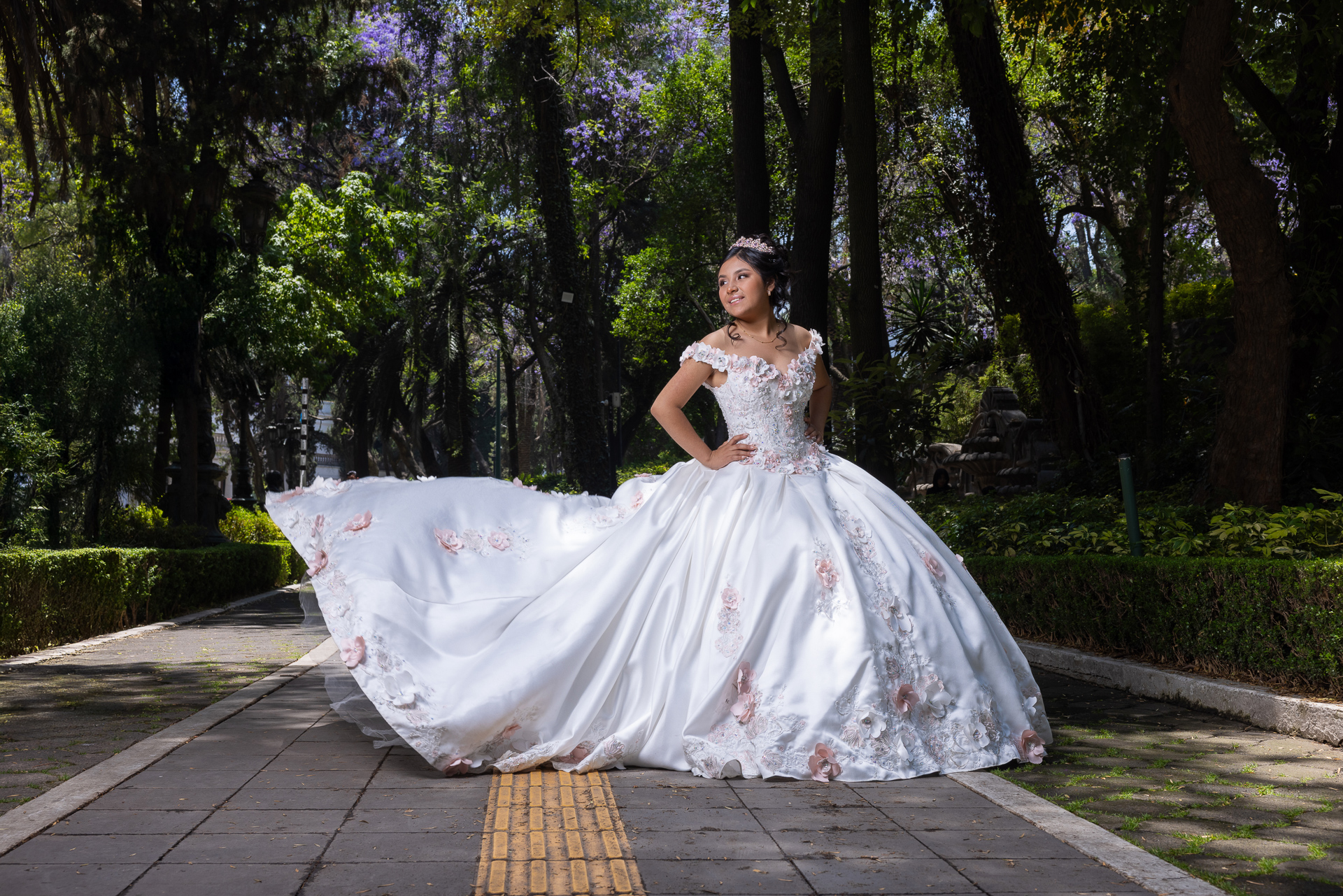 Una Sesión de Fotos de XV Años Inolvidable en Los Pinos